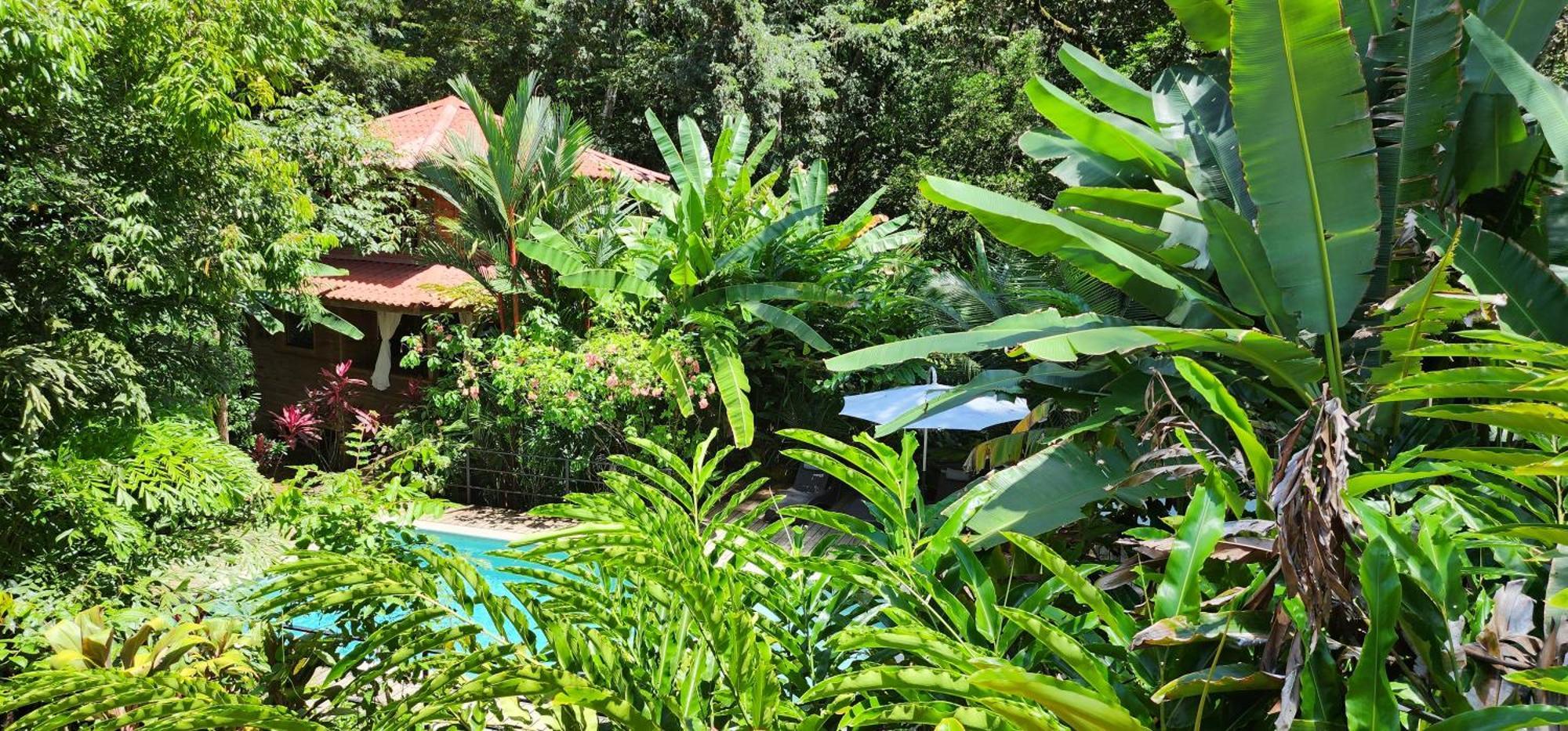 Boutique Hotel Y Spa Tangara Azul Ojochal Exteriör bild